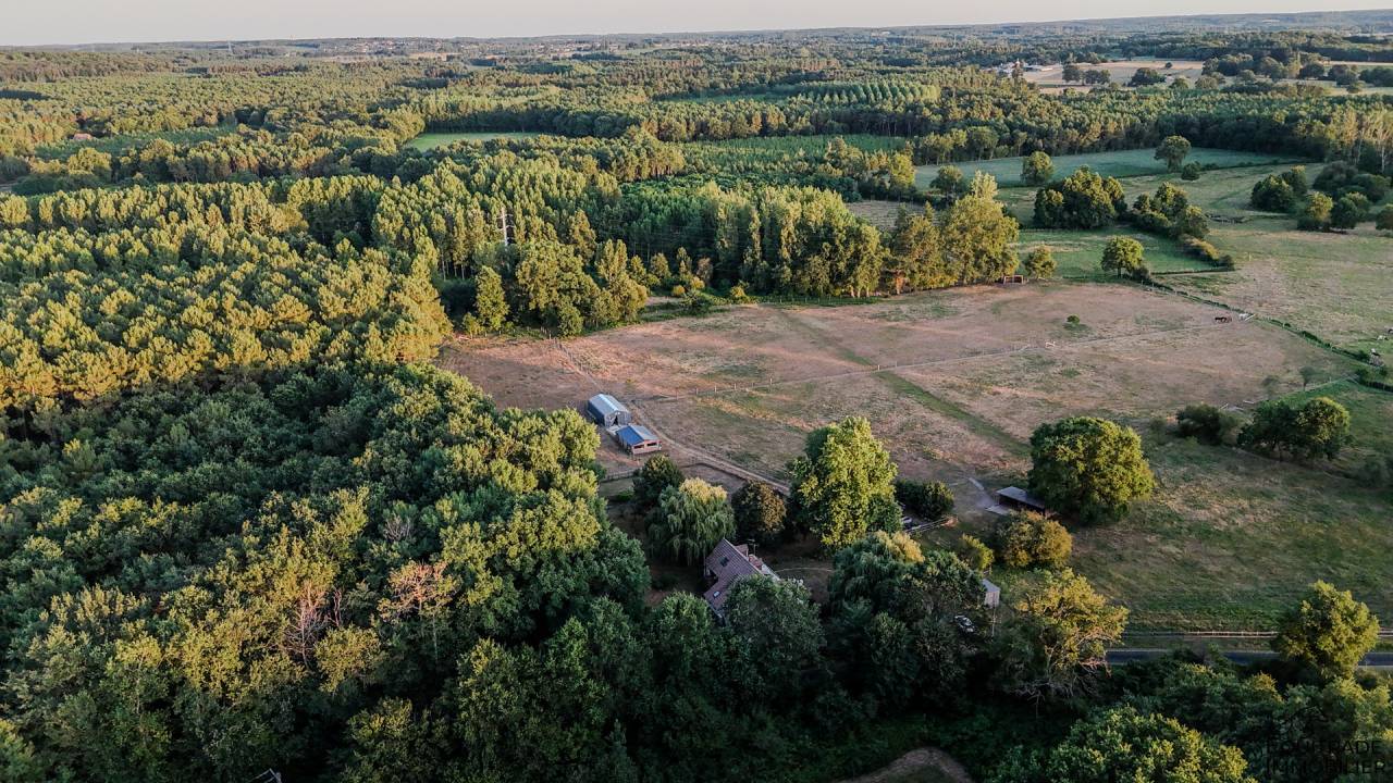 Luxurious equestrian property  Sarthe