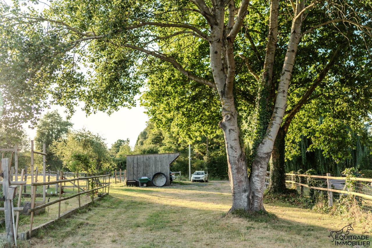 Luxurious equestrian property  Sarthe
