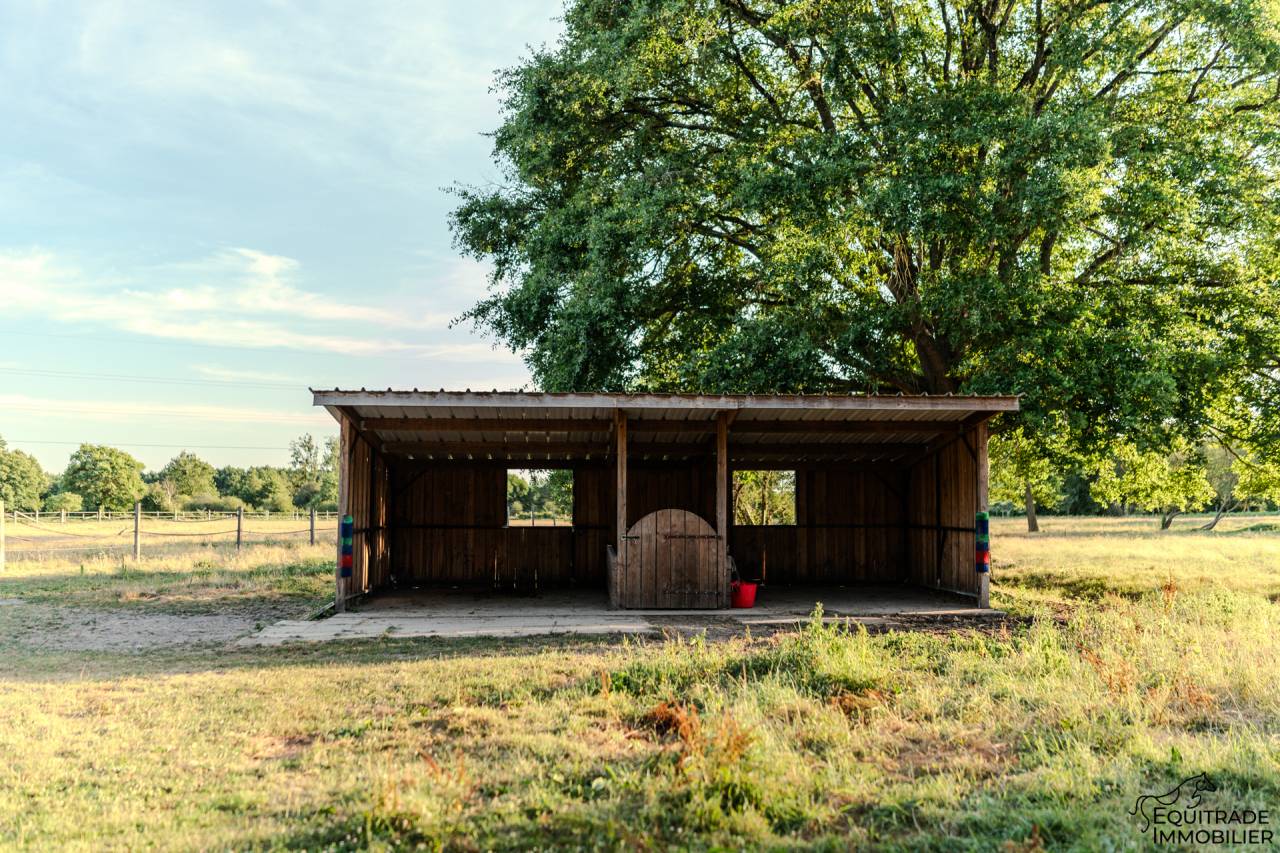 Luxurious equestrian property  Sarthe