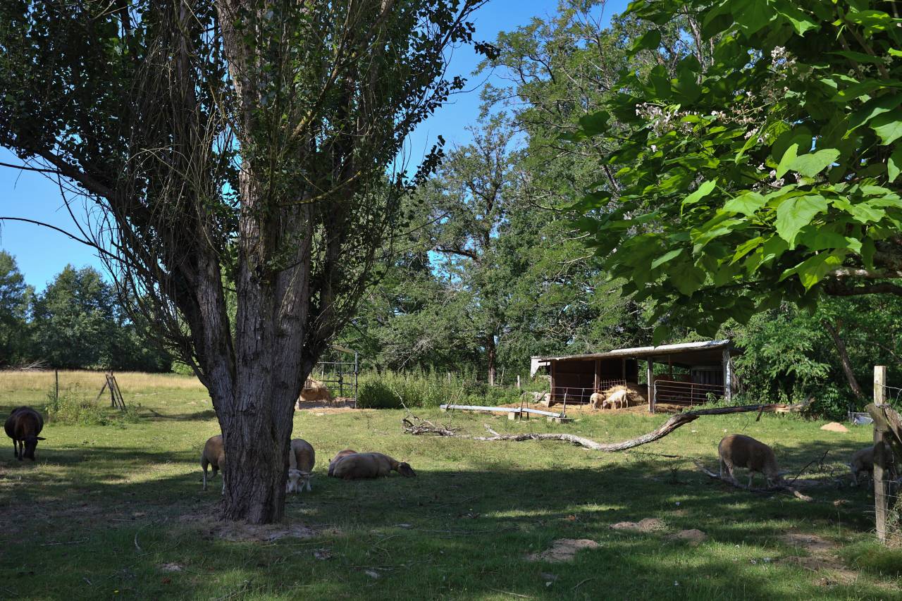 Equestrian property  Gironde