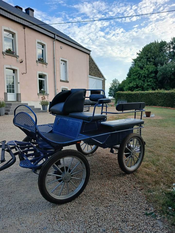 Carriage - Cal&egrave;che   
