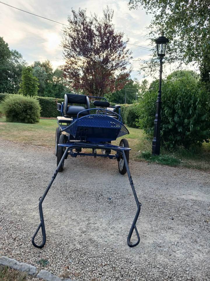 Carriage - Cal&egrave;che   