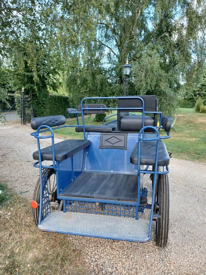 Carriage - Cal&egrave;che   