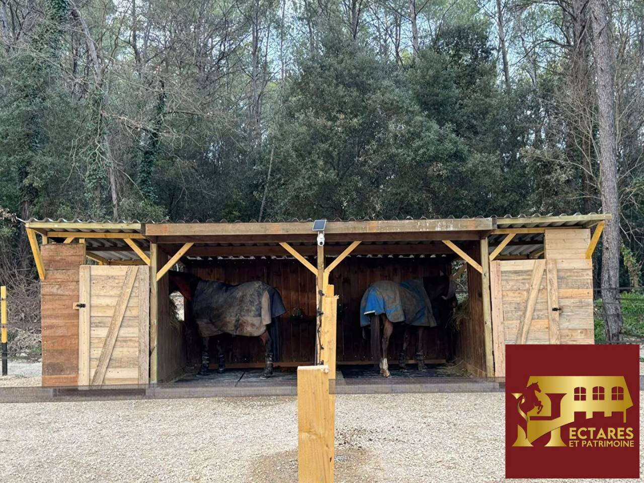 Equestrian Bed and Breakfast  Var