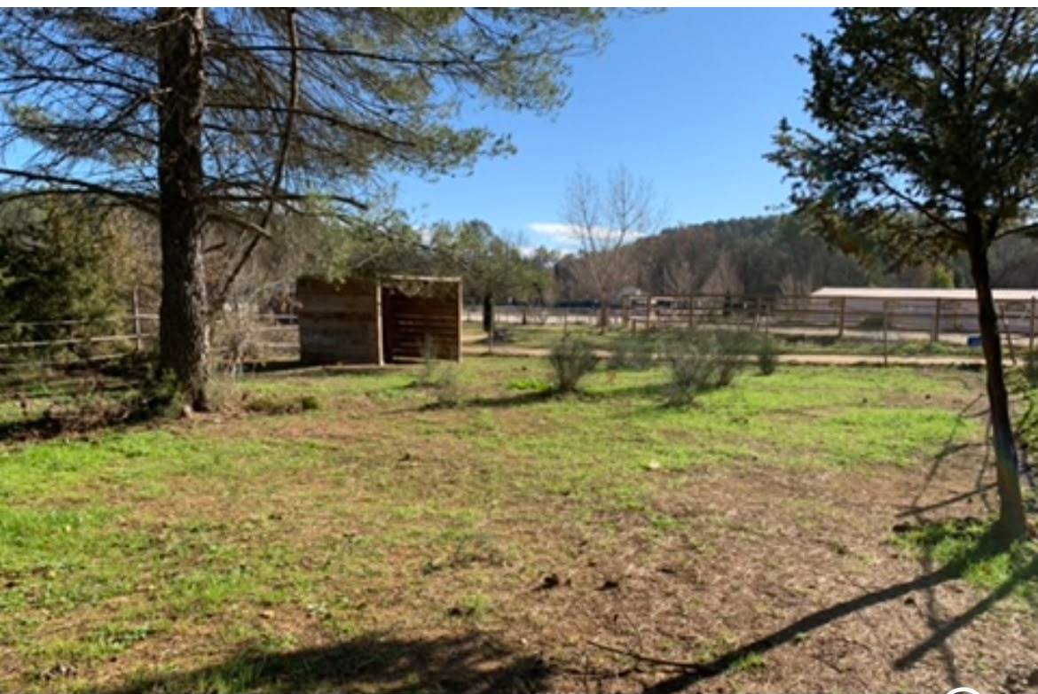 Equestrian Bed and Breakfast  Var