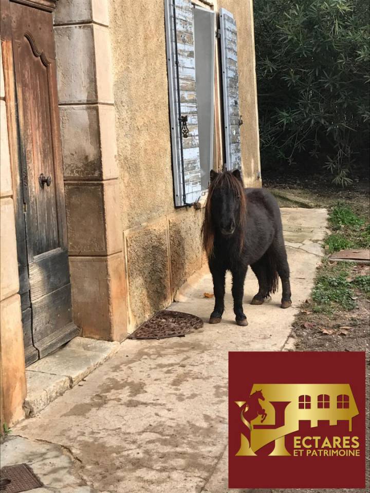Equestrian Bed and Breakfast  Var