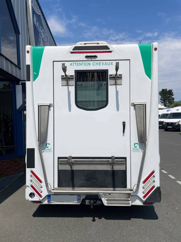 Horsebox HGV Theault master 2023 Used