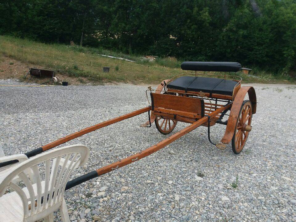 Carriage - Other carriage   
