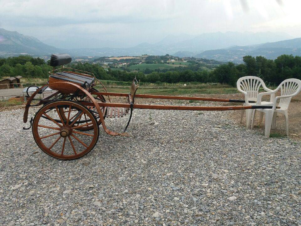 Carriage - Other carriage   
