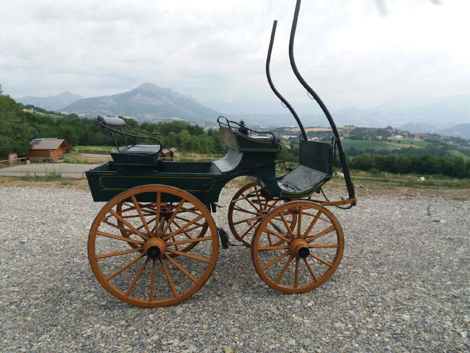 Carriage - Other carriage   