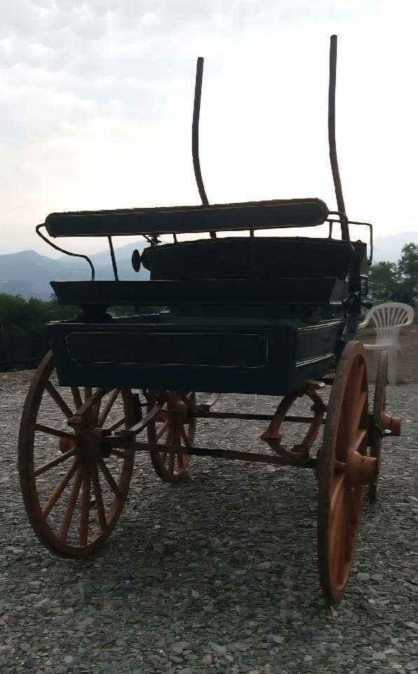 Carriage - Other carriage   