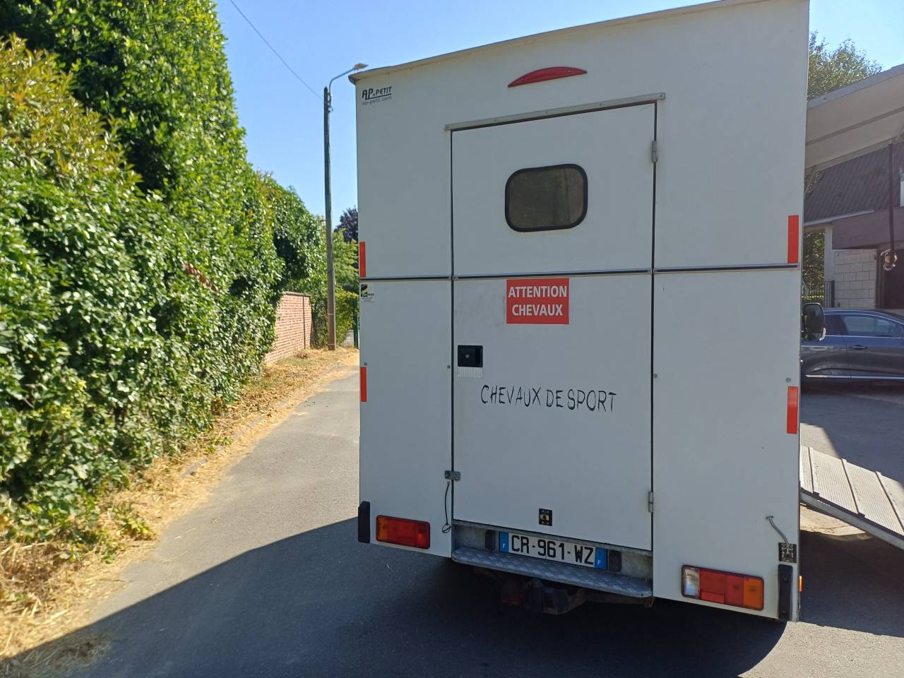 Horsebox HGV Renault Master 2013 Used