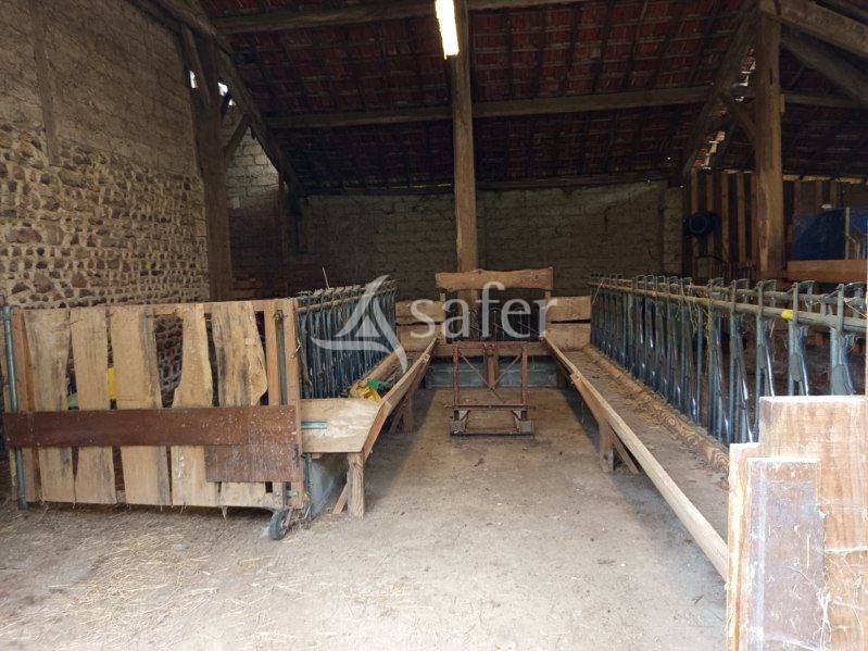 Sheep farm  Hautes-Pyr&eacute;n&eacute;es
