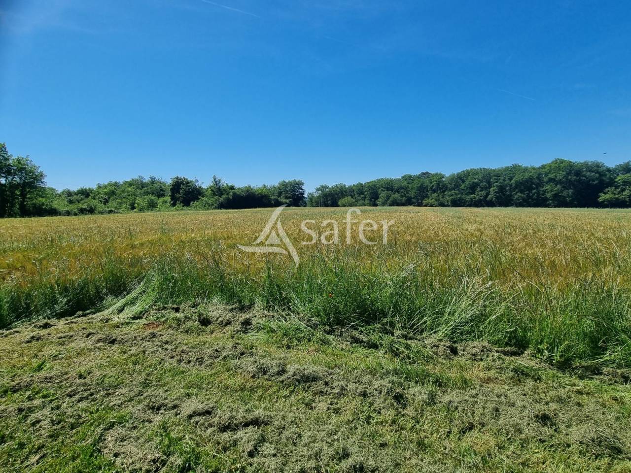 Other country property  Lot