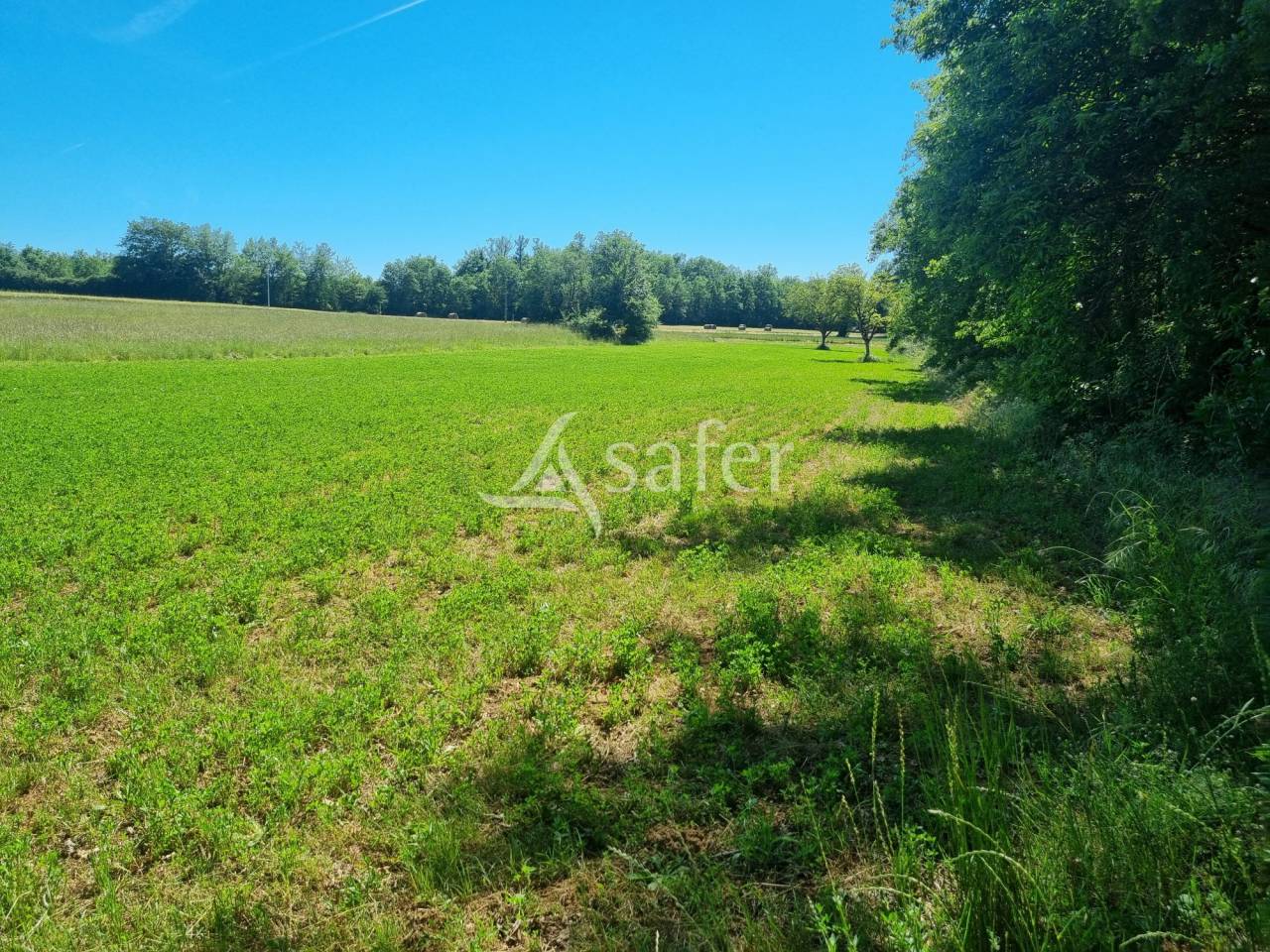 Other country property  Lot