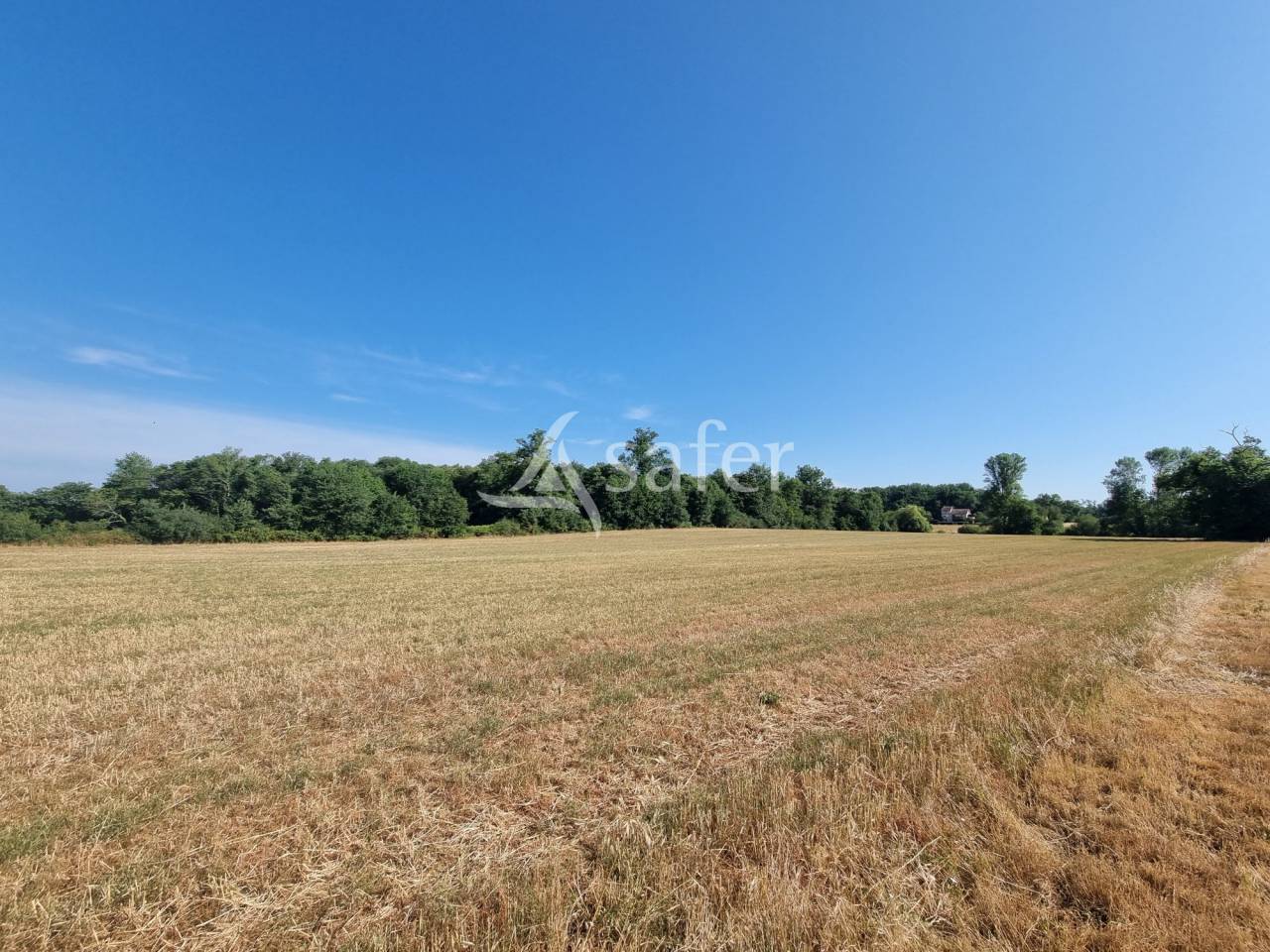 Other country property  Lot