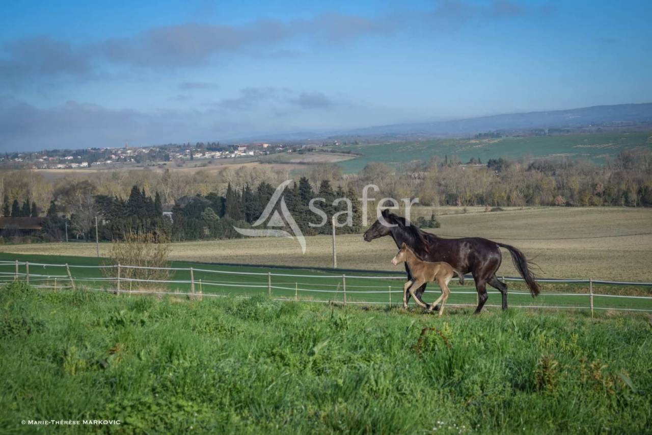 Equestrian property  Aude