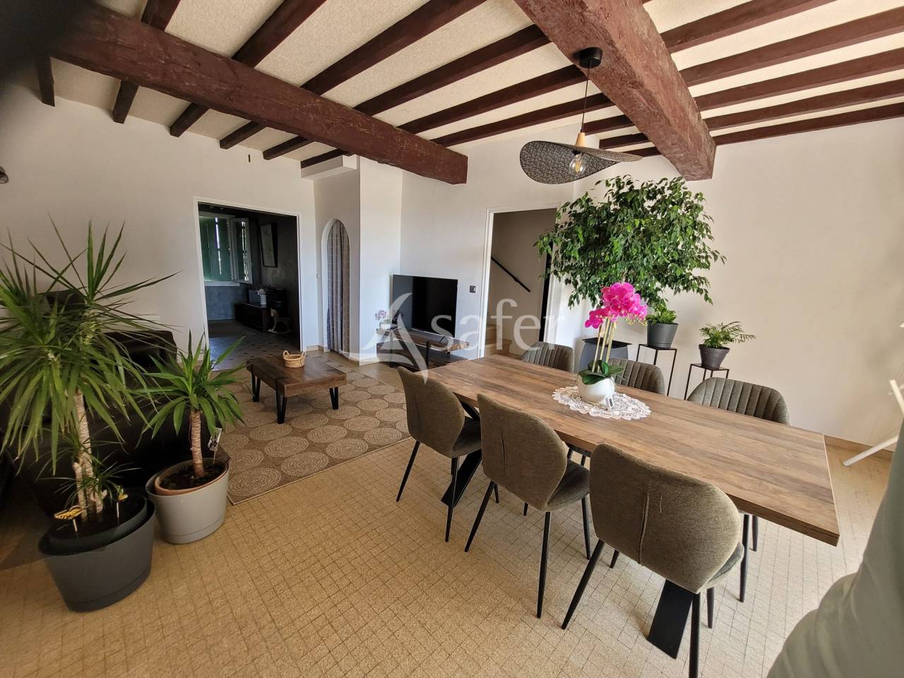 Equestrian property  Aude