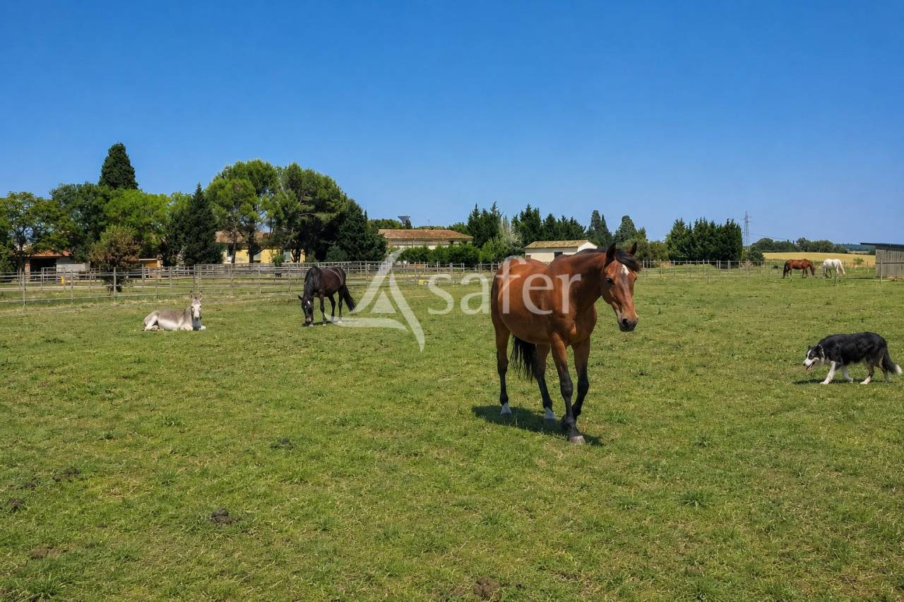 Equestrian property  Aude