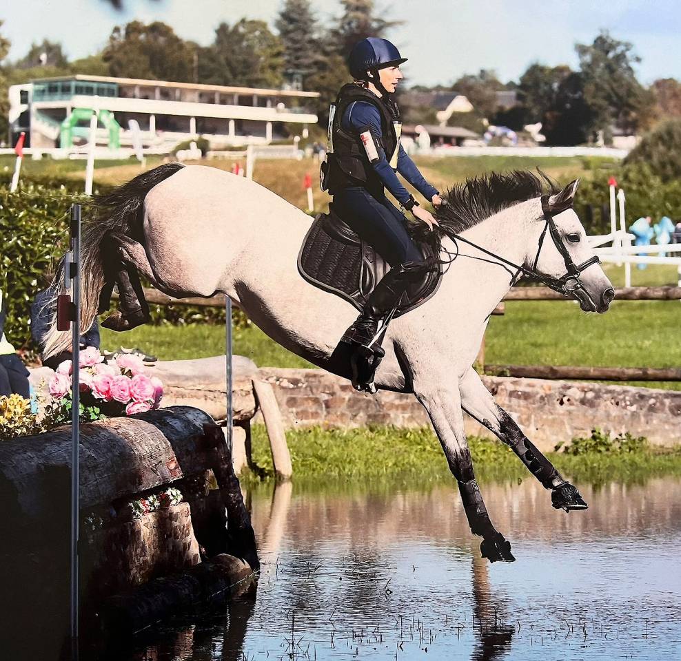 Mare Connemara For sale 2018 Grey