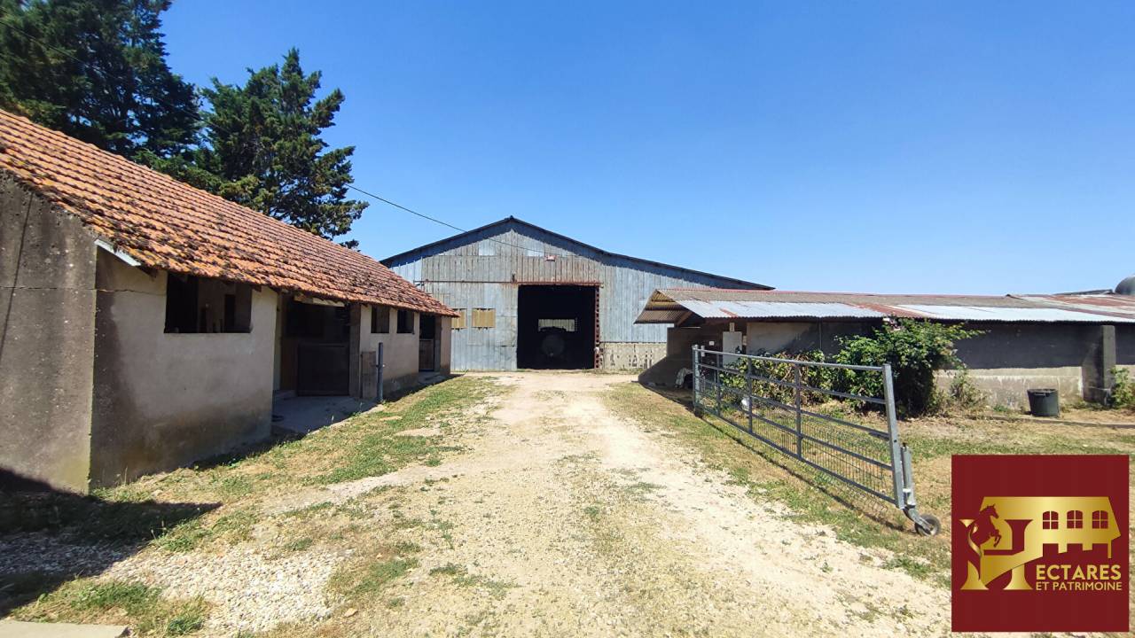Livery yard  Sa&ocirc;ne-et-Loire