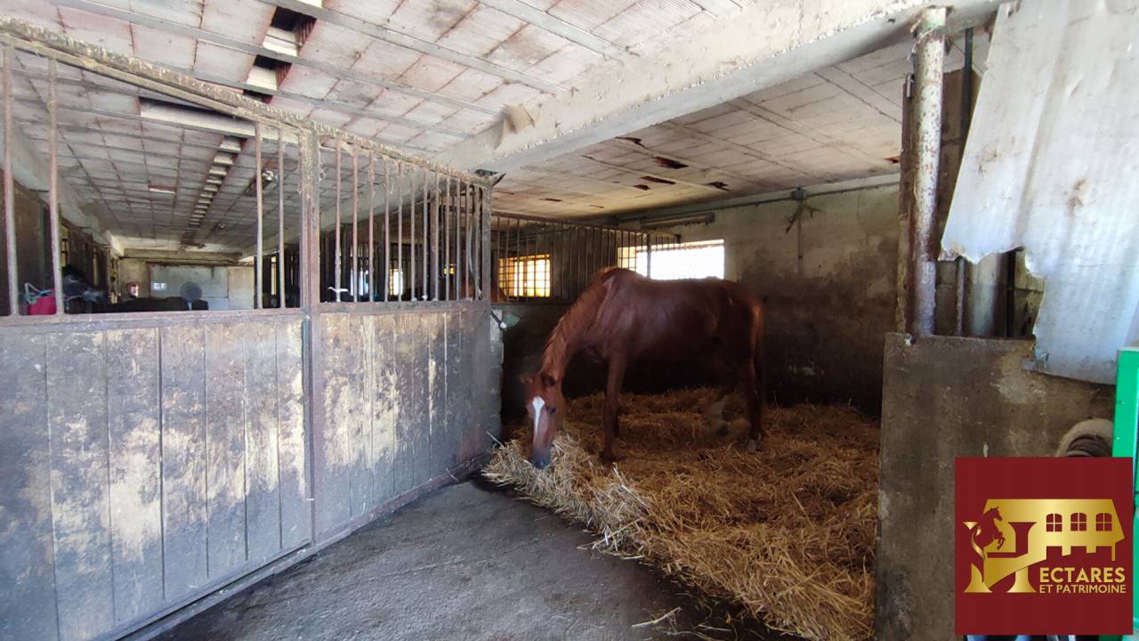 Livery yard  Sa&ocirc;ne-et-Loire