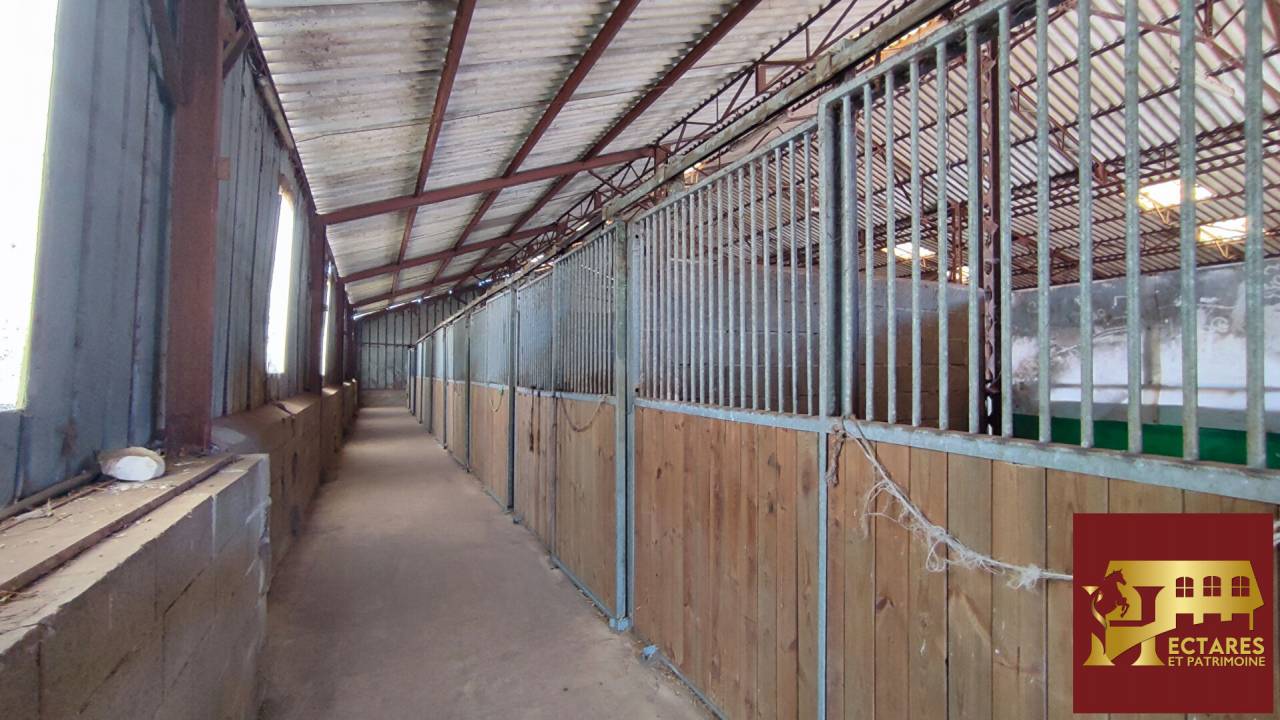 Livery yard  Sa&ocirc;ne-et-Loire