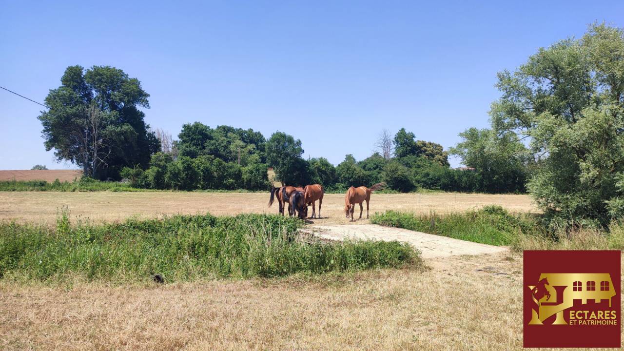 Livery yard  Sa&ocirc;ne-et-Loire