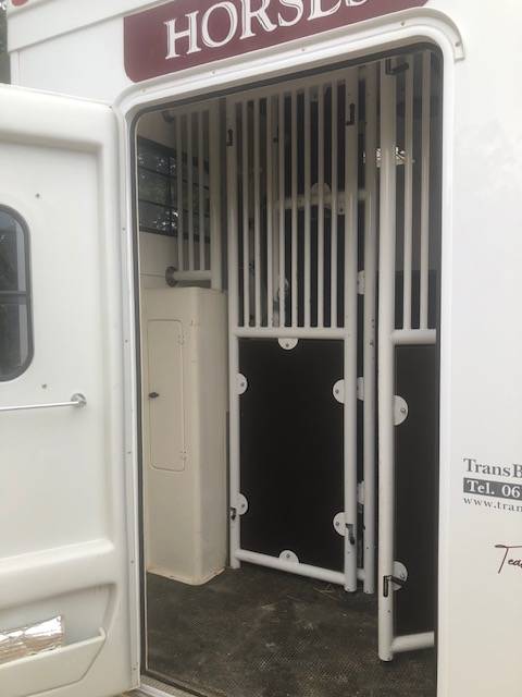 Horsebox HGV Trans Box sv 5 2019 Used