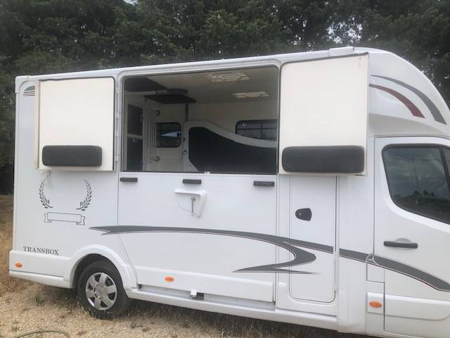 Horsebox HGV Trans Box sv 5 2019 Used