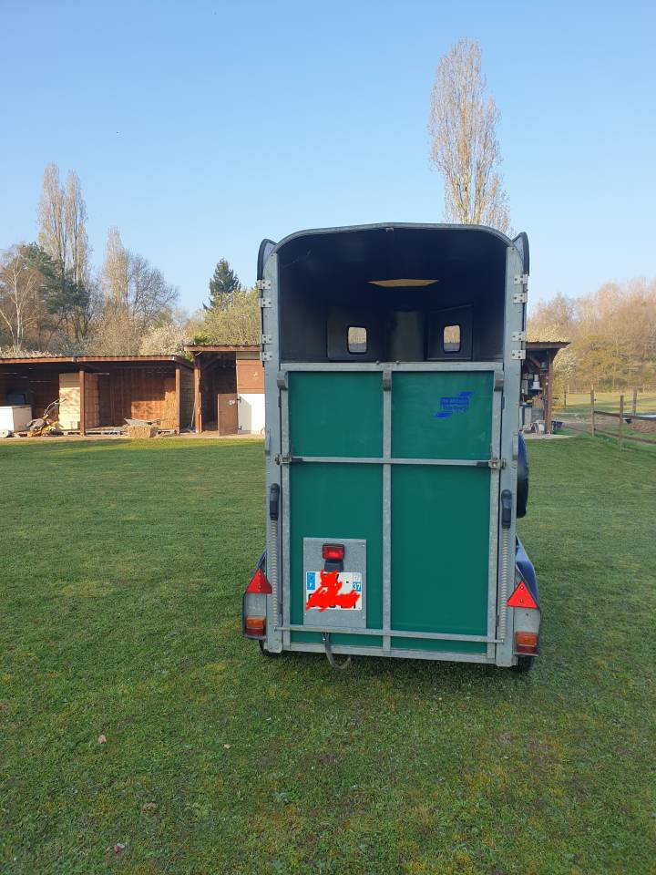 Horse trailer Ifor Williams HB401R 1,5 Stalls 1995 Used