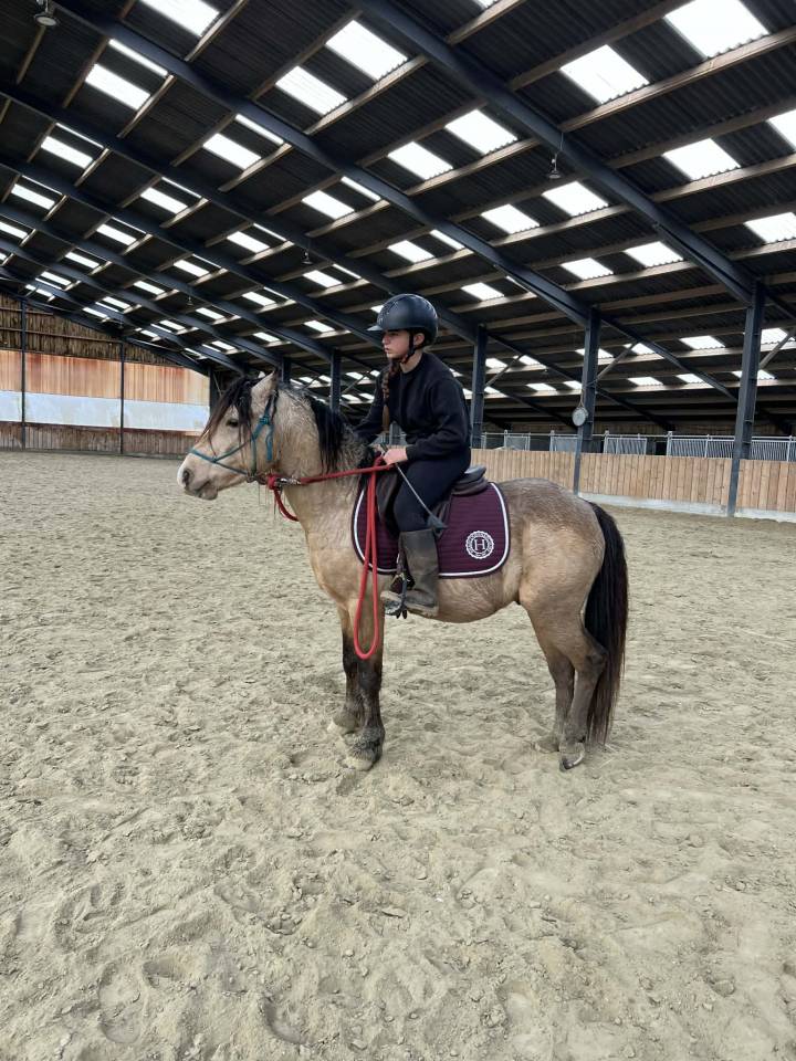 Entire Origin Recorded For entrust 2021 Buckskin