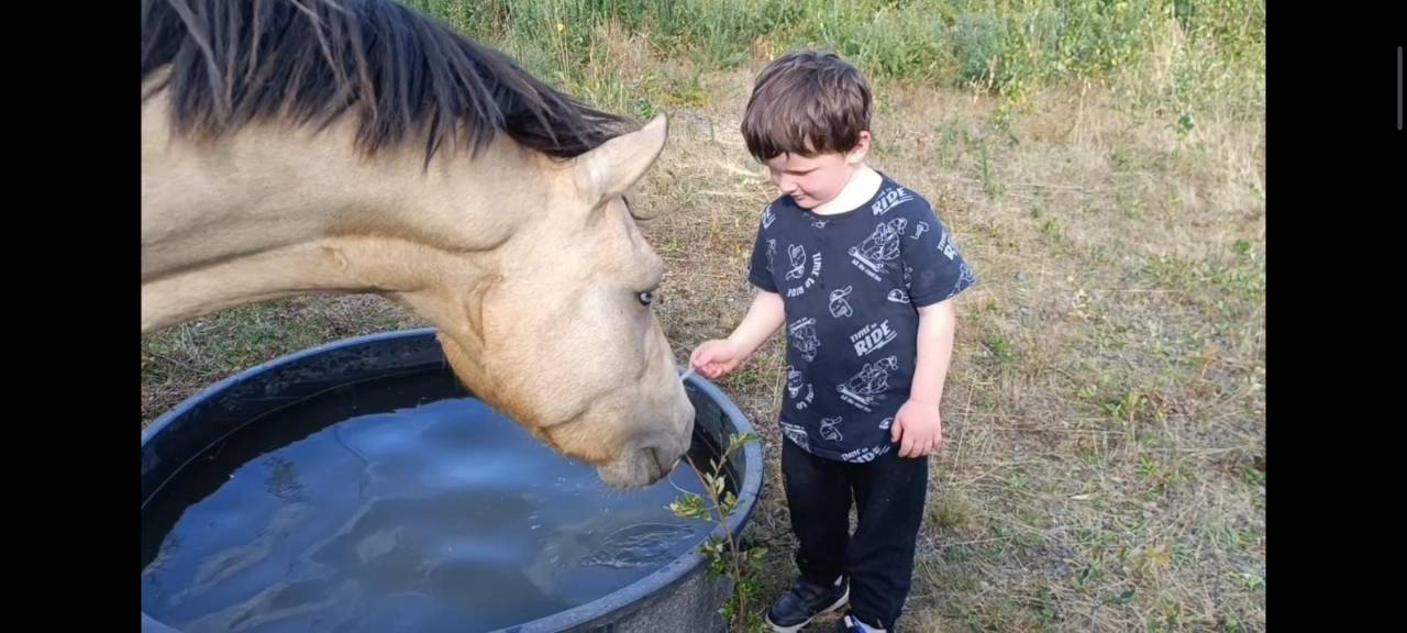 Entire Origin Recorded For entrust 2021 Buckskin