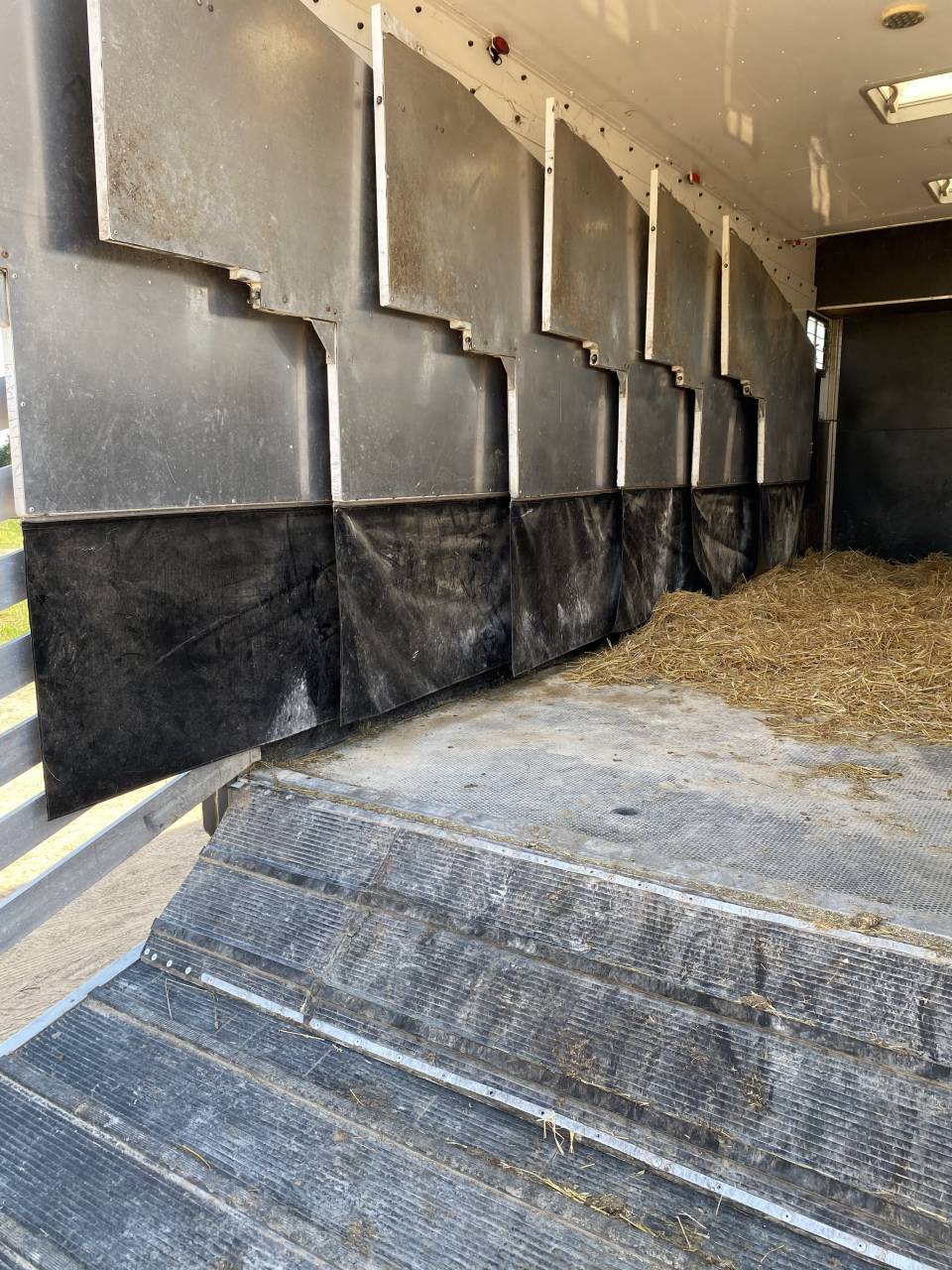 Horsebox NON-HGV Renault RENAULT PREMIUM 2010 Used