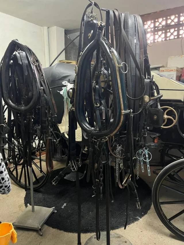 Carriage - Cal&egrave;che - Other brand - JHN Calesa Andaluz 