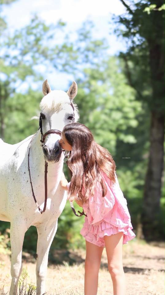 Mare Origin Recorded For loan 2012 Grey