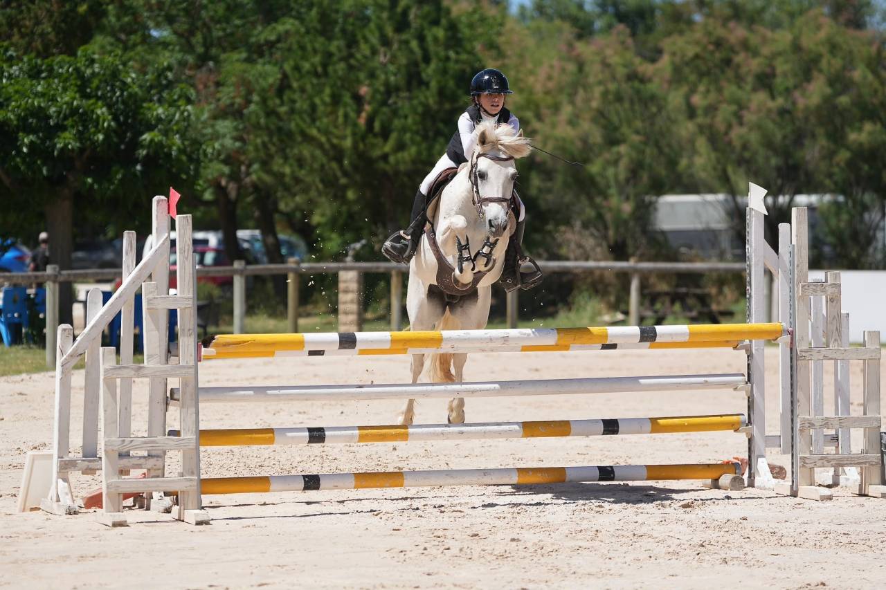 Mare Origin Recorded For loan 2012 Grey