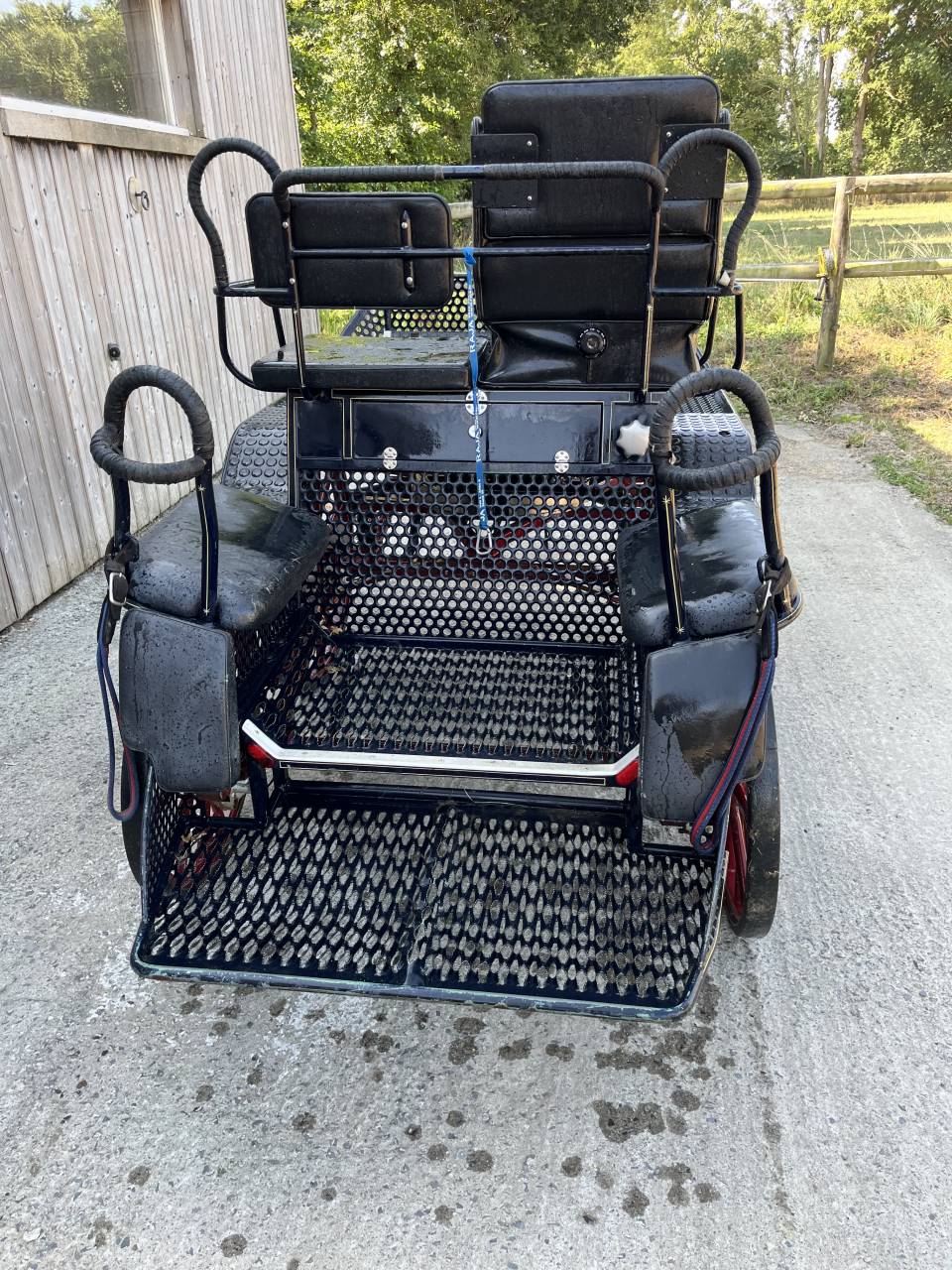 Carriage - Marathon for competition - Other brand - Marathon  