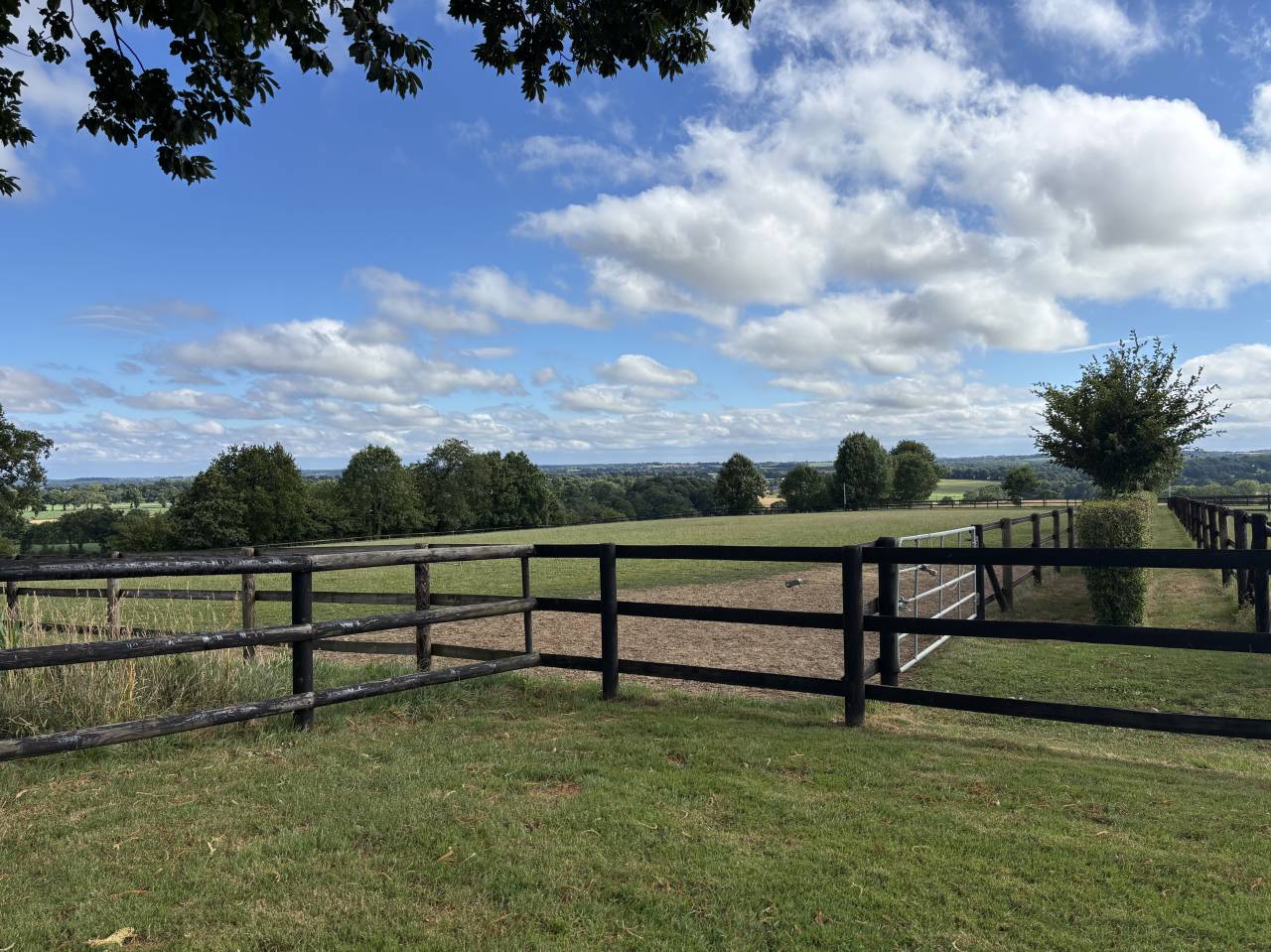 Stud farm  Mayenne