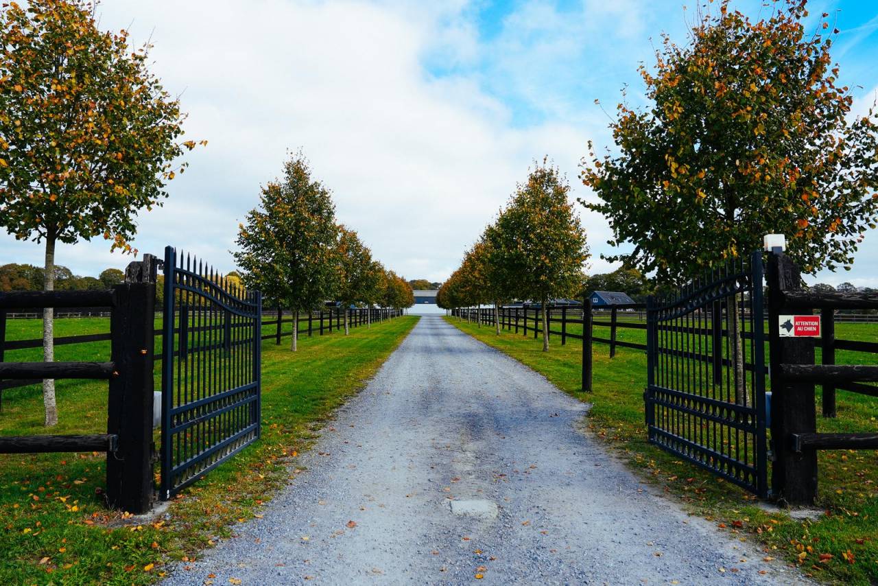Stud farm  Mayenne