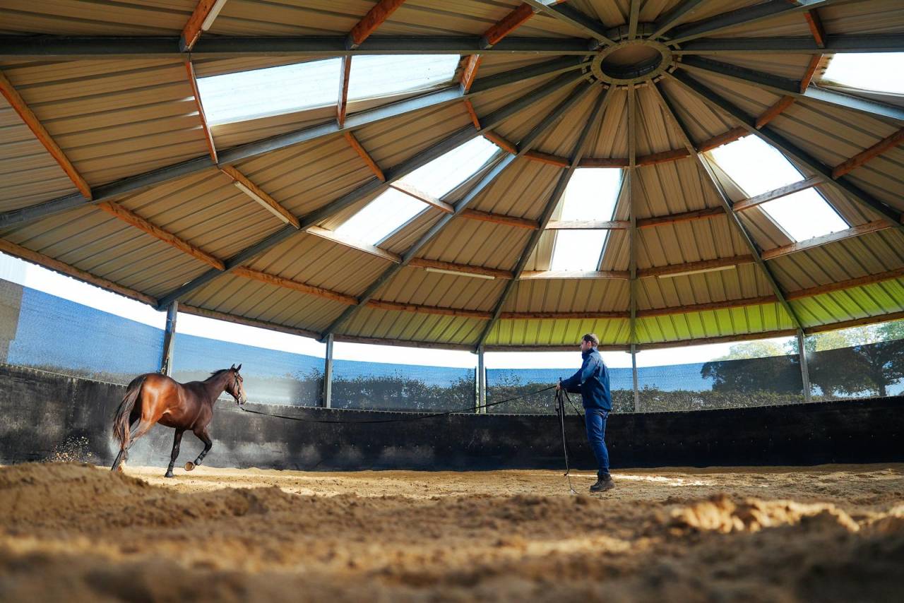 Stud farm  Mayenne