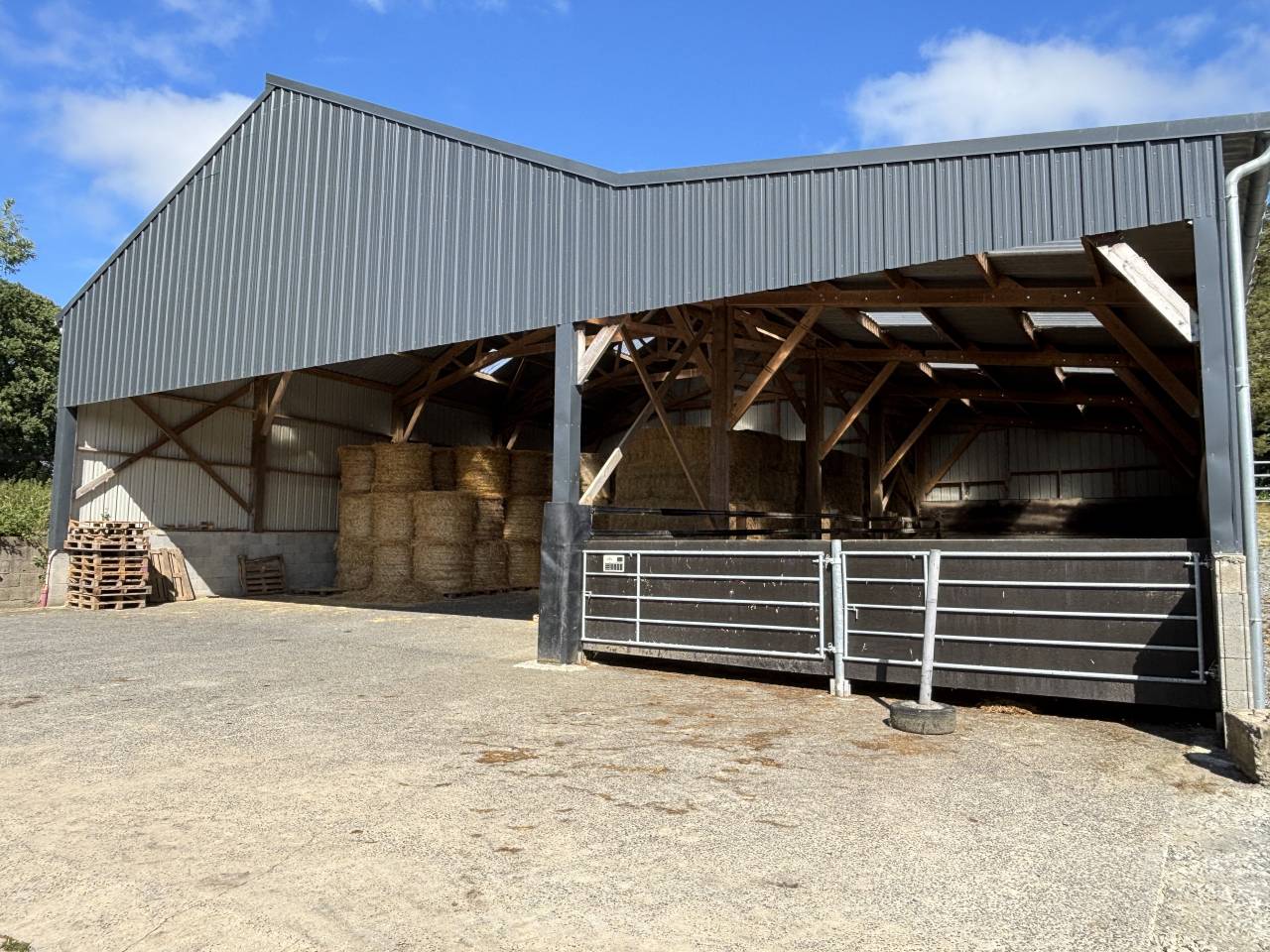 Stud farm  Mayenne