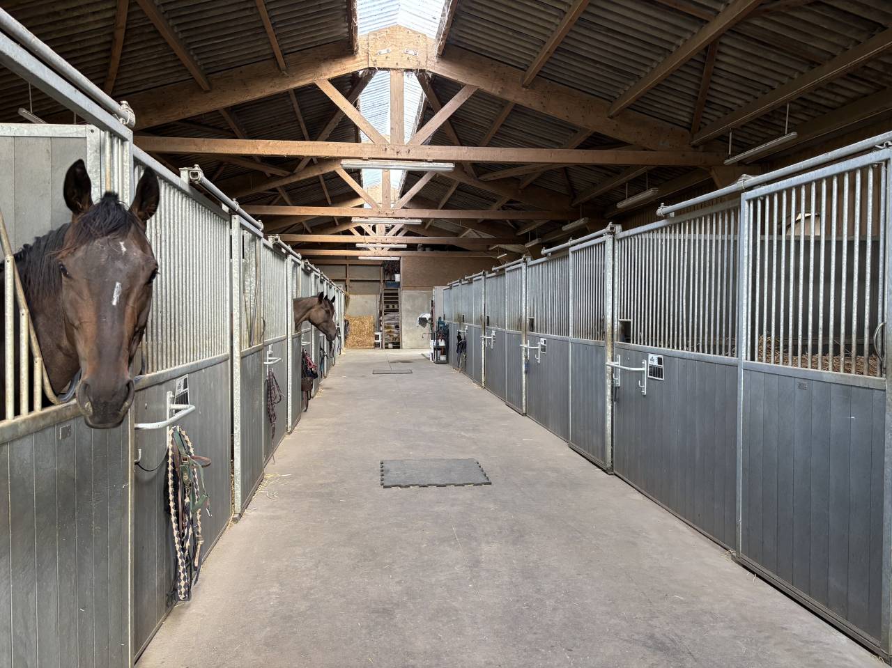 Stud farm  Mayenne