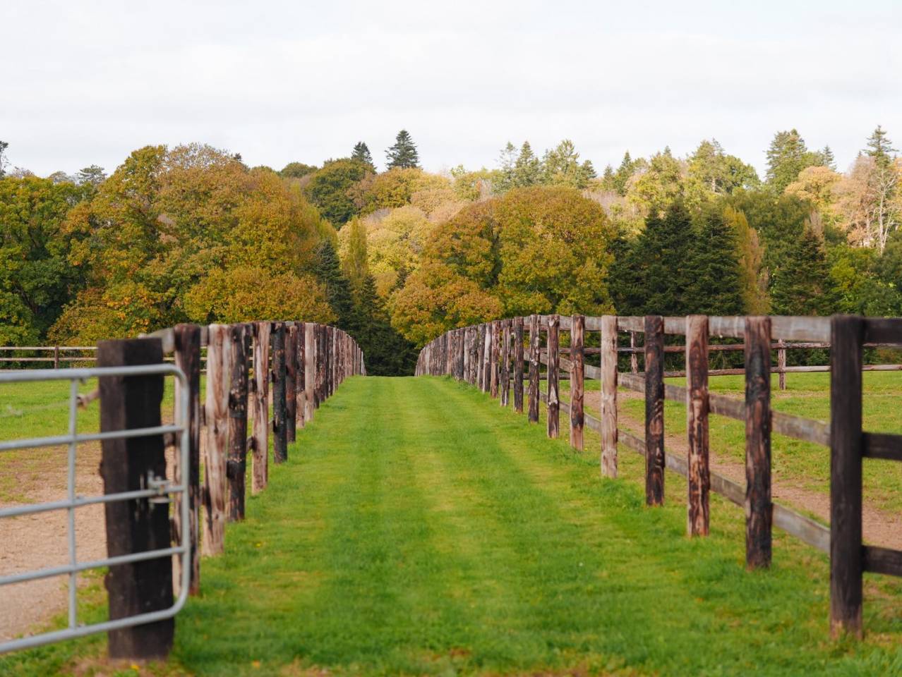 Stud farm  Mayenne