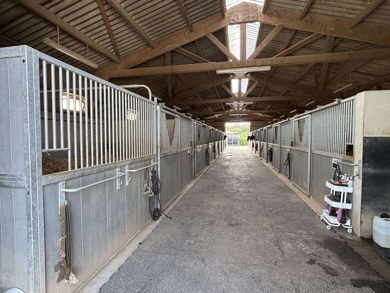 Stud farm  Mayenne