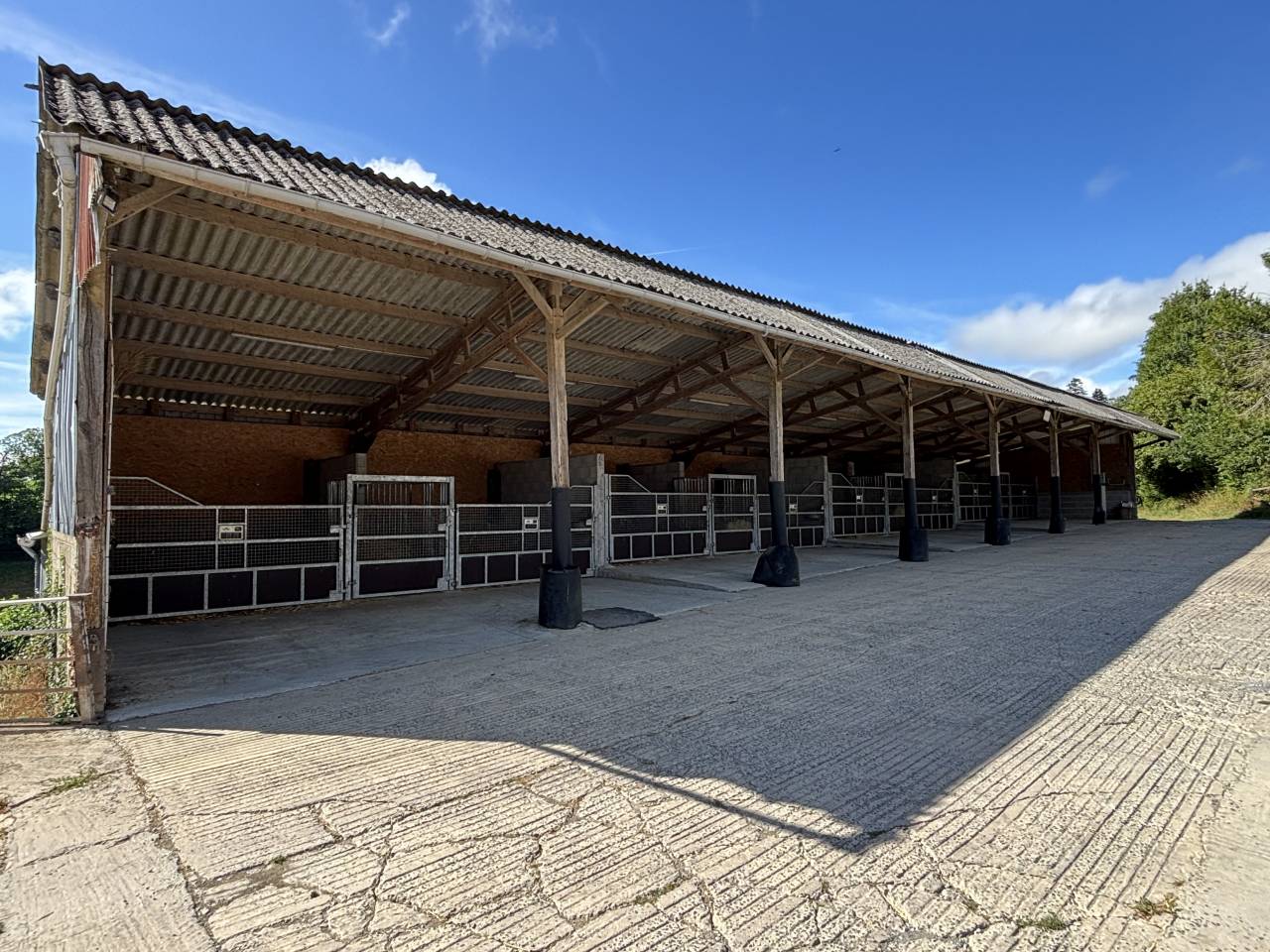 Stud farm  Mayenne