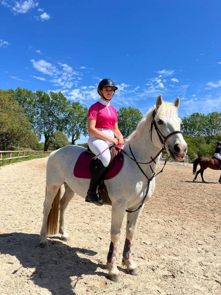 Gelding Connemara For loan 2012 Grey