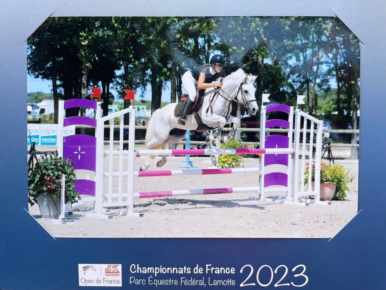 Gelding Connemara For loan 2012 Grey