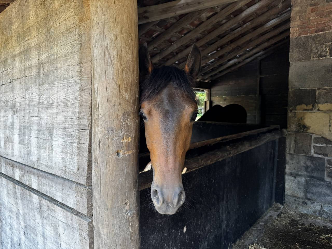 Luxurious equestrian property  Namur