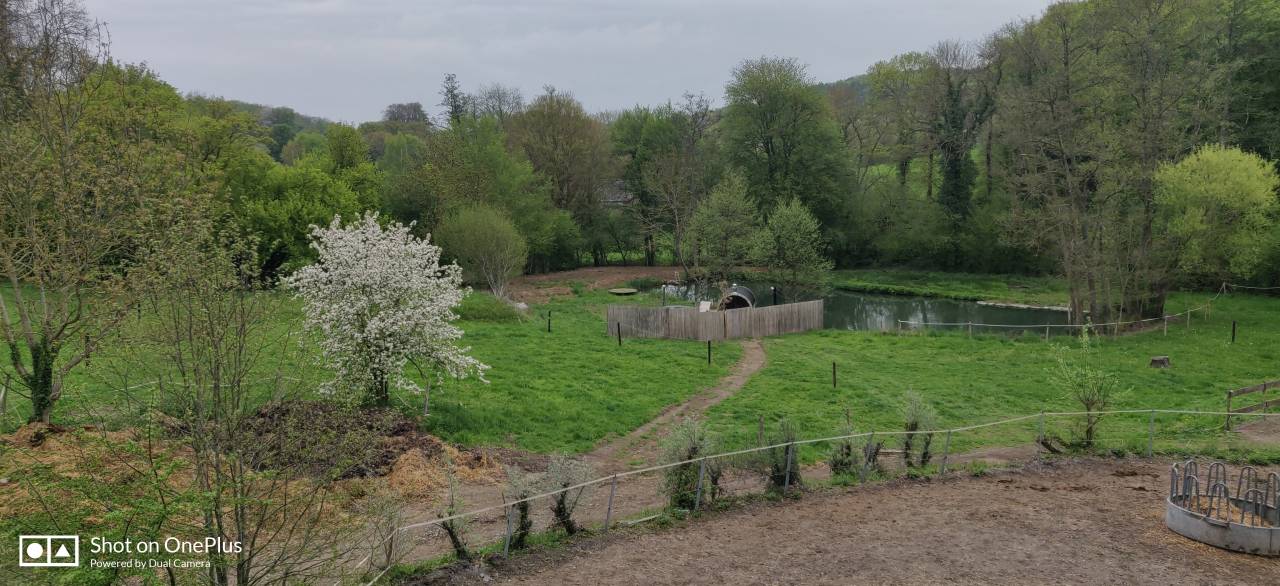 Luxurious equestrian property  Namur